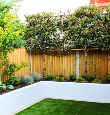 garden privacy solutions