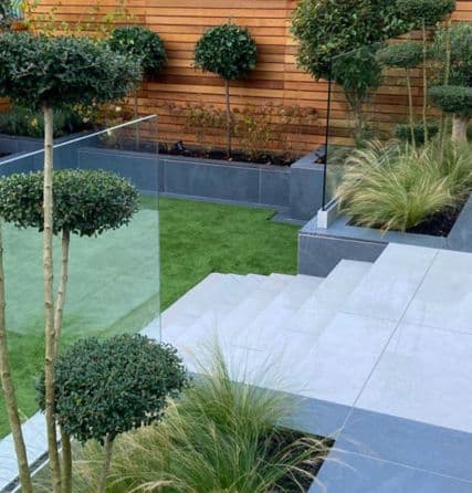 low-maintenance plants
