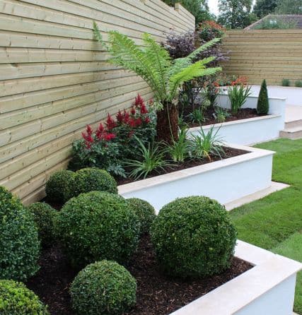 modern garden planting